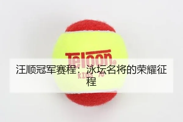 wang-shun-guan-jun-sai-cheng-yong-tan-ming-jiang-de-rong-yao-zheng-cheng-2-115.jpg