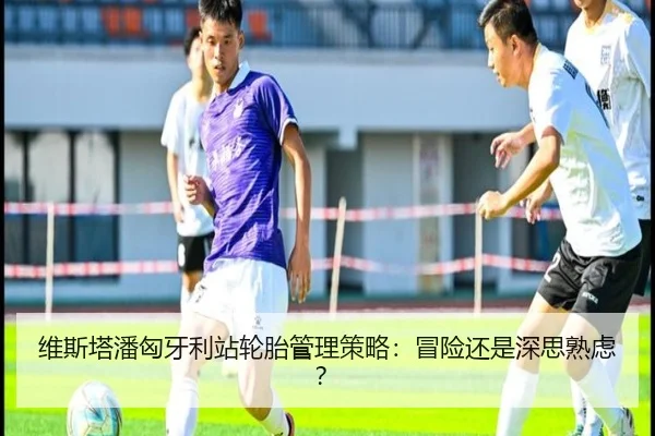 维斯塔潘匈牙利站轮胎管理策略：冒险还是深思熟虑？